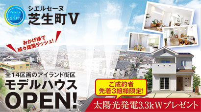 シエルセーヌ芝生町Ⅴ